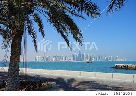 ドーハの高層ビルとやしの木 16142653