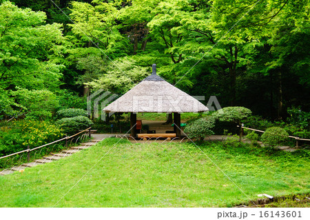 明治神宮 御苑 四阿 明治神宮 御苑 四阿 16143601