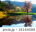 千鳥別尺の鏡面 16144088