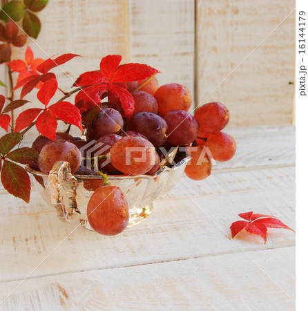 bunch of grapes with vine on white background bunch of grapes with vine on white background 16144179