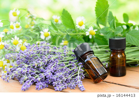精油とハーブ 精油とハーブ 16144413
