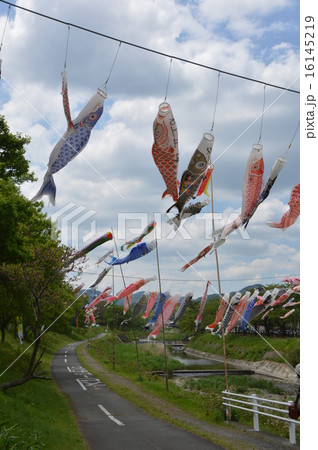 長房ふれあい端午まつり 八王子市 長房ふれあい端午まつり 八王子市 16145219
