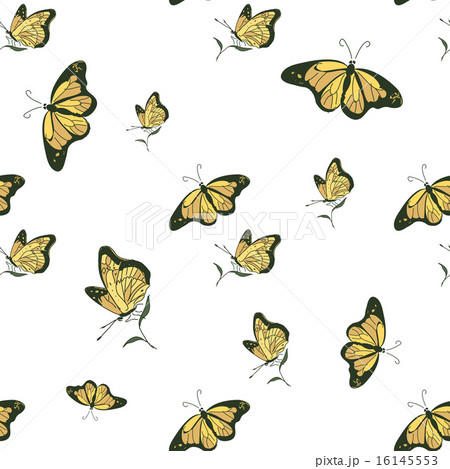 colored doodle butterfly pattern colored doodle butterfly pattern 16145553