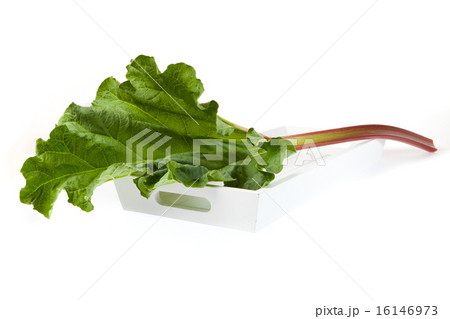 A whole stick of rhubarb on the wooden tray 16146973