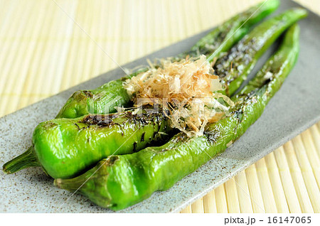 万願寺とうがらし 万願寺とうがらし 16147065