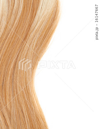 Hair fragment over the white 16147667