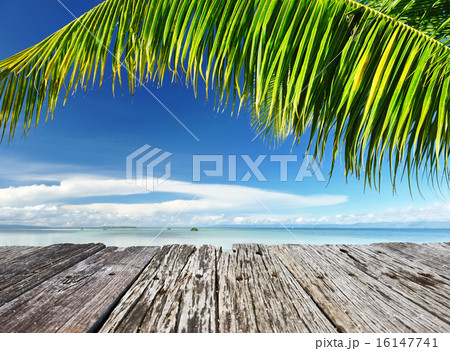 Beautiful beach 16147741