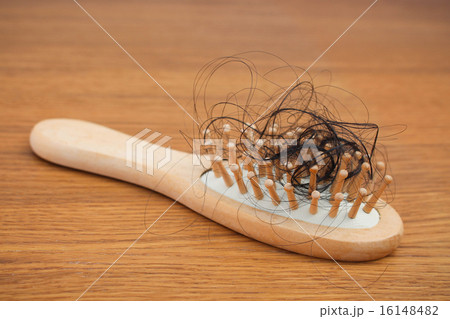 Fallen hair on the comb Fallen hair on the comb 16148482