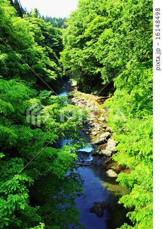 真瀬渓谷 16148498