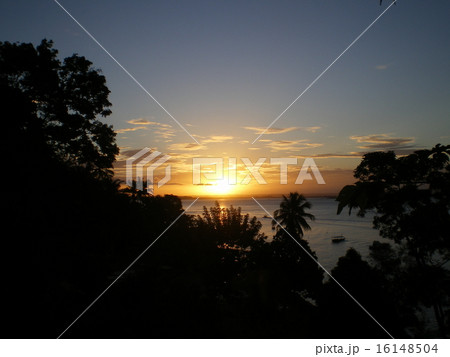 島の高台から望む夕日 モホ・デ・サンパウロ(ブラジル) 島の高台から望む夕日 モホ・デ・サンパウロ(ブラジル) 16148504