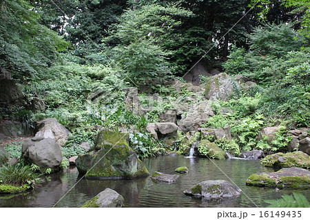 滝見の茶屋からの風景 滝見の茶屋からの風景 16149435