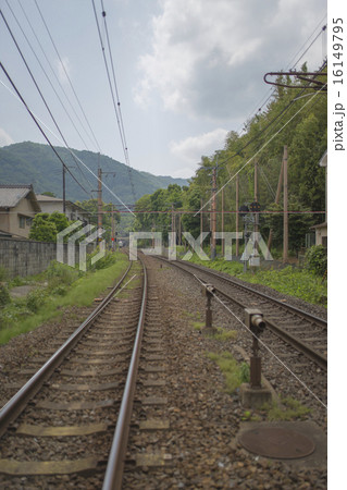 線路 16149795