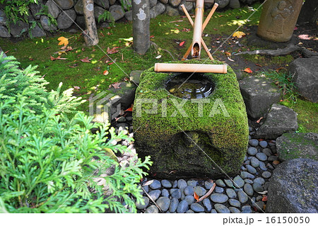 6月 日本庭園30茶庭の手水鉢・高幡不動尊 6月 日本庭園30茶庭の手水鉢・高幡不動尊 16150050