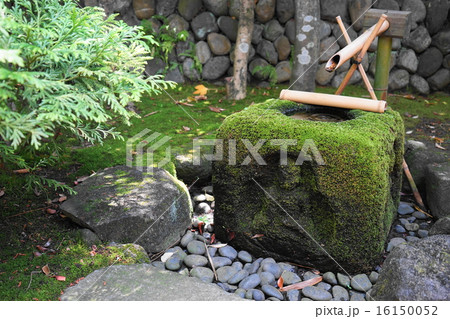 6月 日本庭園32茶庭の手水鉢・高幡不動尊 6月 日本庭園32茶庭の手水鉢・高幡不動尊 16150052