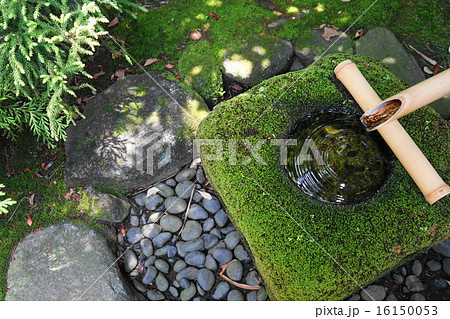 6月 日本庭園33茶庭の手水鉢 高幡不動尊の写真素材