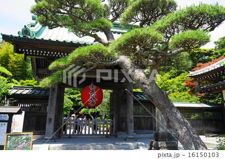 6月　観光風景146長谷寺 16150103