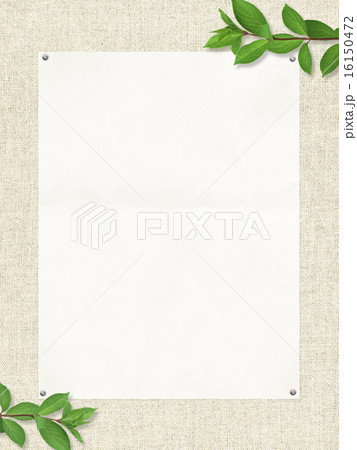 ナチュラル背景-木-葉 16150472