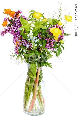 summer fresh natural flowers in glass vase 16150564