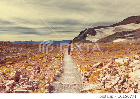 Hike on Mt.Rainier 16150771