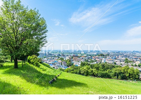 丘から眺めた多摩の住宅街の風景 16151225