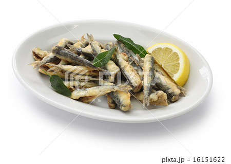 イワシのフライ イワシのフライ 16151622