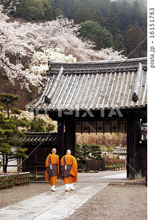 長谷寺　僧侶並歩 16151763