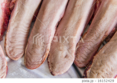 Raw pork tongue Raw pork tongue 16152429