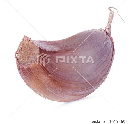 Garlic isolated on white background 16152695