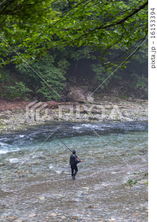 鮎友釣り風景 鮎友釣り風景 16153394