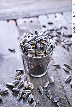 sunflower seed 16153504
