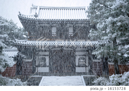 京都 雪の建仁寺 京都 雪の建仁寺 16153728
