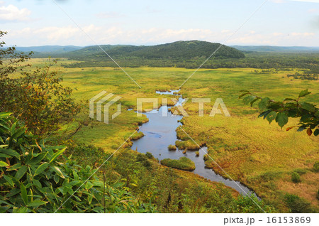 釧路湿原　コッタロ展望台 16153869
