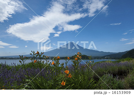 初夏の富士山 初夏の富士山 16153909