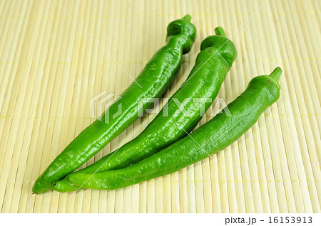 万願寺とうがらし 16153913