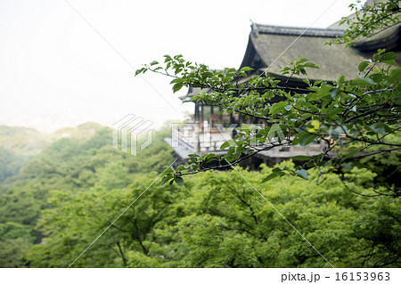 早朝の清水寺 早朝の清水寺 16153963