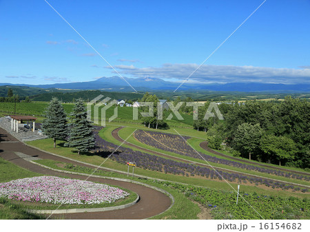 北海道 北西の丘 美瑛 北海道 北西の丘 美瑛 16154682
