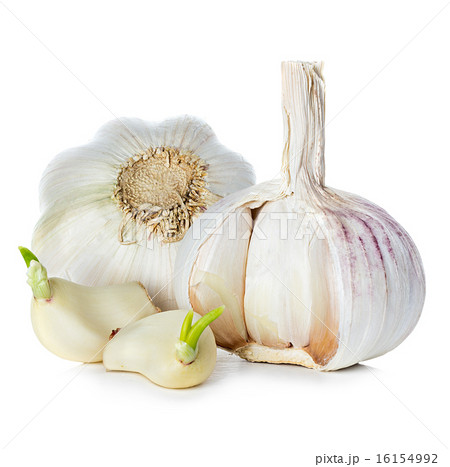 Garlic isolated on white background Garlic isolated on white background 16154992