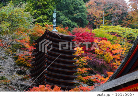 談山神社　十三重塔と紅葉 16155057
