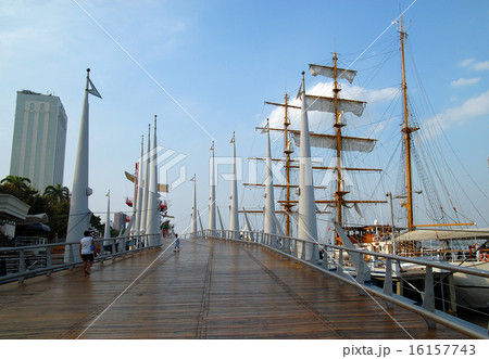 エクアドル　グアヤキル　マレコン公園の遊歩道 16157743