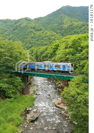 富士急行と新緑 16161176