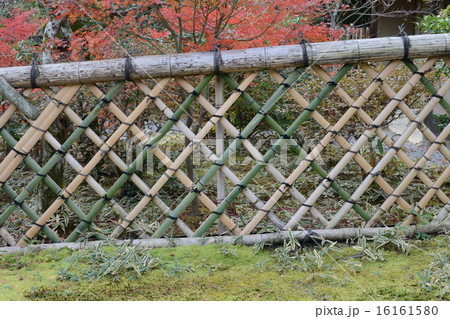 京都 鷹峯光悦寺 京都 鷹峯光悦寺 16161580