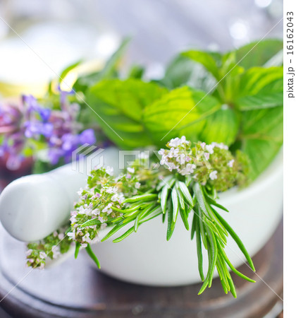 herb and aroma spice herb and aroma spice 16162043