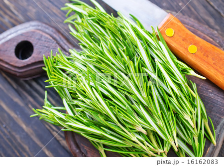 rosemary 16162083
