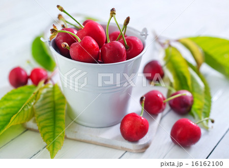 cherry cherry 16162100