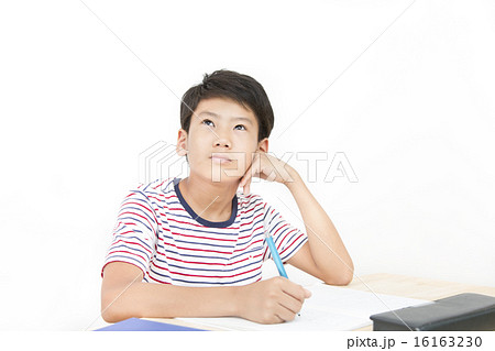 勉強する男の子 16163230