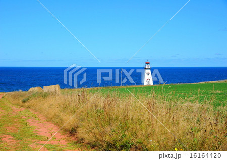 プリンスエドワード島の灯台 ケープ・トライオン プリンスエドワード島の灯台 ケープ・トライオン 16164420