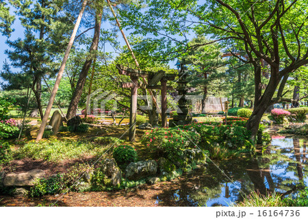 金沢　兼六園　鶺鴒（せきれい）島 16164736