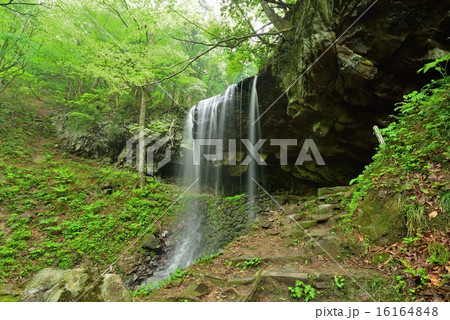 岩井の滝 16164848