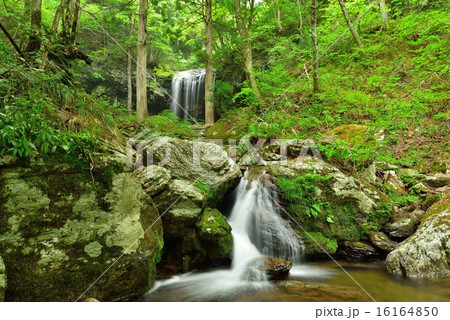 岩井の滝 16164850