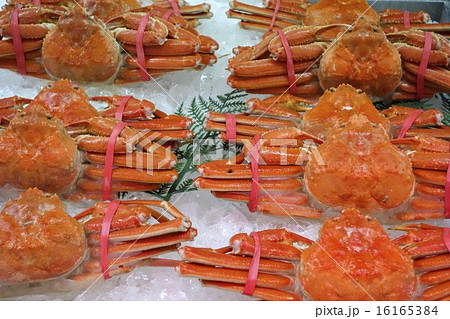 ずわいがに 16165384